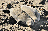 FARWEST 2649 copia